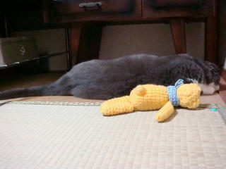 0814-2DSC00113.jpg