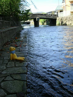0815DSC00137.jpg