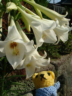0817DSC00170.jpg