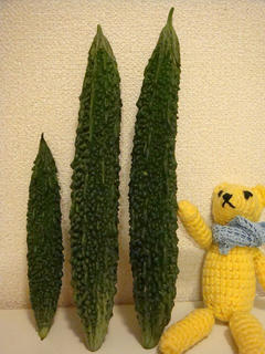 0818DSC00236.jpg