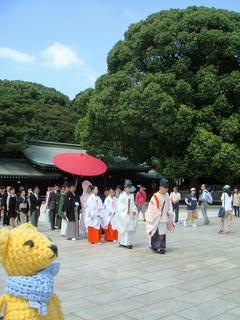 0819DSC00248.jpg