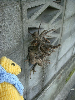0824DSC00328.jpg