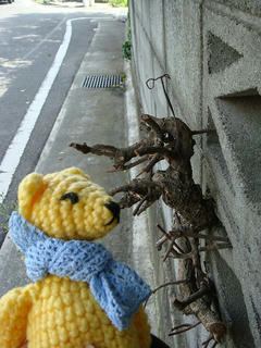 0824-1DSC00327.jpg