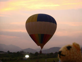 0825DSC00338.jpg
