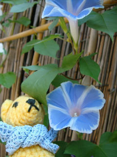 0827DSC00411.jpg