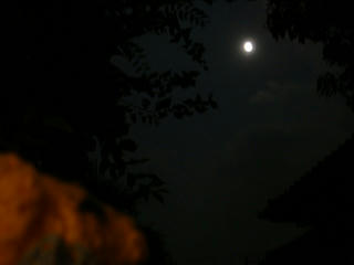 0828DSC00434.jpg