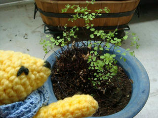 0901DSC00465.jpg