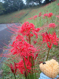 0918DSC06652.jpg