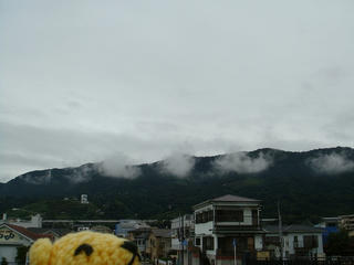 1001DSC06924.jpg