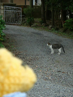 1009DSC07034.jpg