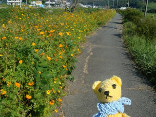 1030-1DSC07440.jpg
