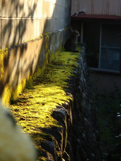 1102DSC07393.jpg