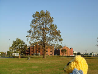 1107-1DSC07526.jpg