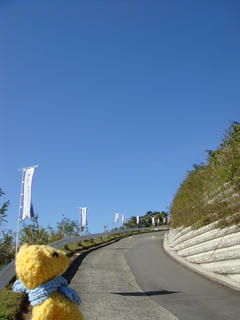 1112DSC07544.jpg