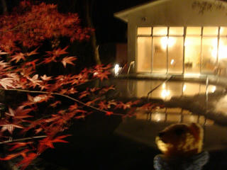 1115DSC07669.jpg