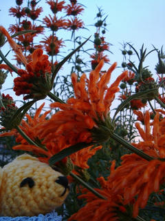 1121DSC07750.jpg