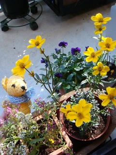 1205DSC07969.jpg