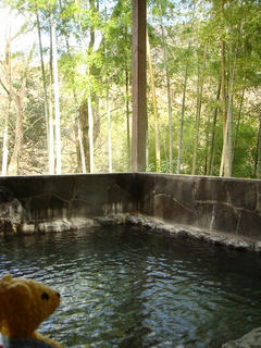 DSC08104.jpg