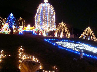 1221DSC08174.jpg