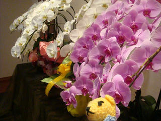 1231DSC08609.jpg