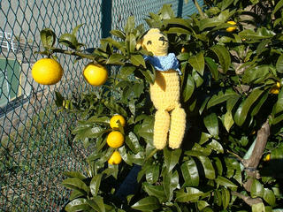 0104DSC08719.jpg