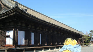 1226-3DSC08537.jpg