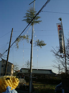 0106-1DSC08741.jpg