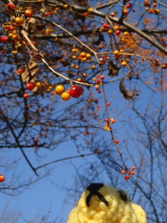 0110DSC08738.jpg