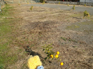 0118DSC08725.jpg
