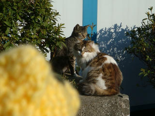 0213DSC09398.jpg