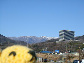 0213DSC09512.jpg