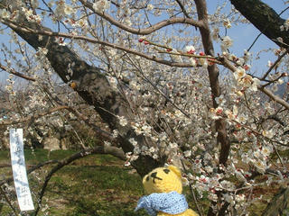 0223DSC09638.jpg