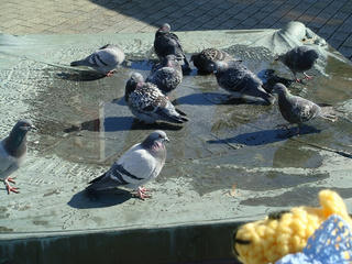 0229DSC09385.jpg