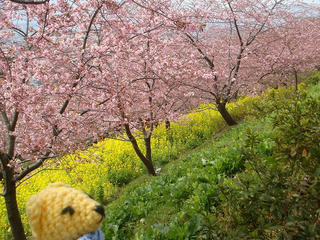 0304DSC09812.jpg
