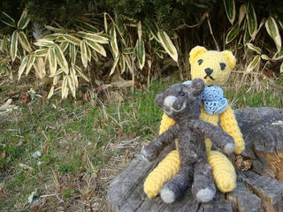 0305DSC09867.jpg