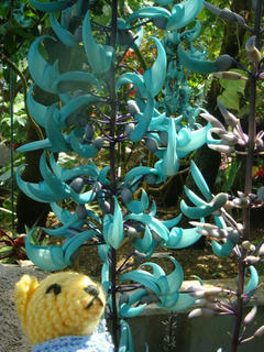 0313DSC00045.jpg