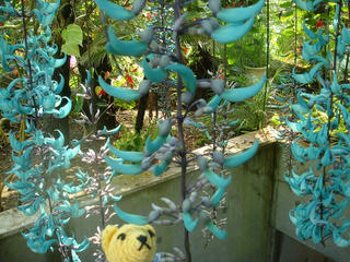 0313-1-DSC00046.jpg