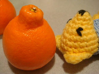 0314DSC00080.jpg