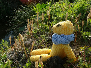 0316DSC00094.jpg