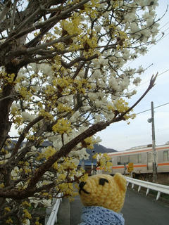 0321DSC00177.jpg