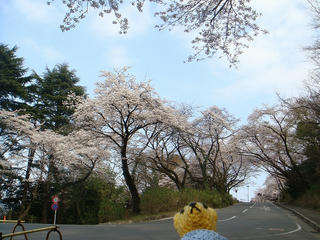 0328DSC00231.jpg