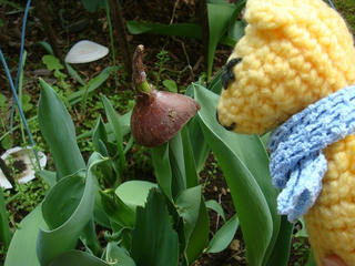0329DSC00252.jpg