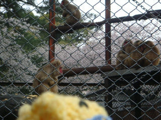0403DSC00308.jpg