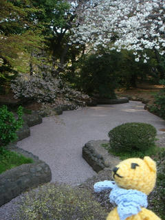 0405DSC00452.jpg