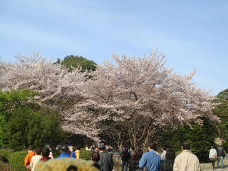 0405-1DSC00412.jpg