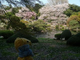 0405-2DSC00439.jpg