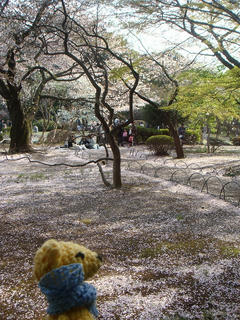 0405-3DSC00433.jpg