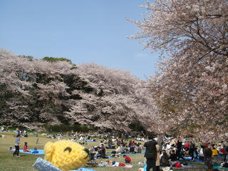 0405-4DSC00393.jpg