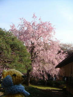 0405-4DSC00400.jpg
