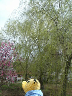 0408DSC00199.jpg